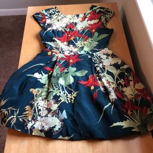 Ted baker fit and flare print dress